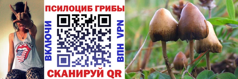 Псилоцибиновые грибы мухоморы купить закладку Вязники